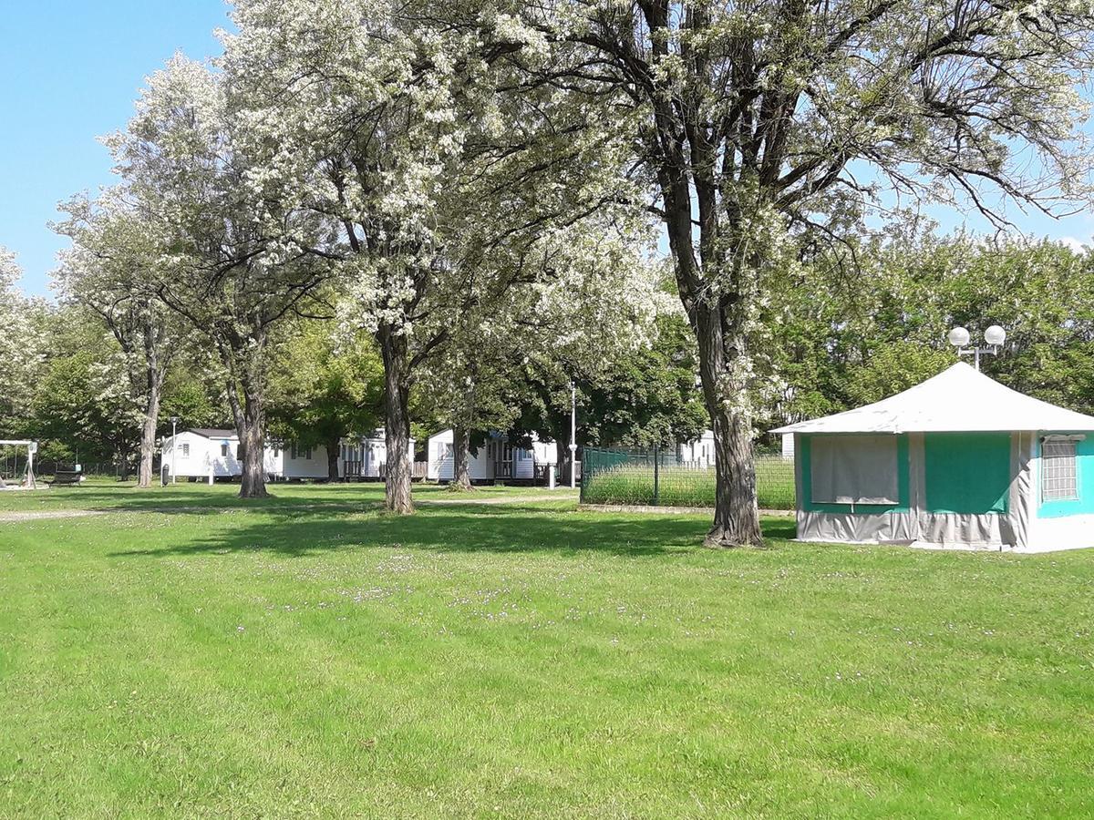 Hotel Les Berges Du Cele Bagnac Esterno foto